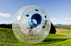 ZORB Image 1704391217 Zorb Hamster Balls